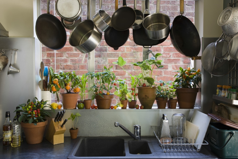 Indoor urban garden