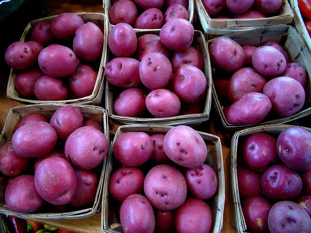 Purple Potatoes