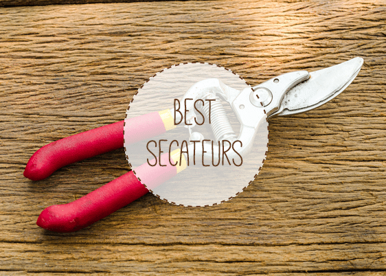 Red-handled secateurs on wooden bench.