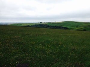 South Pennines Farm