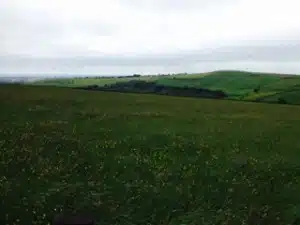 South Pennines Farm