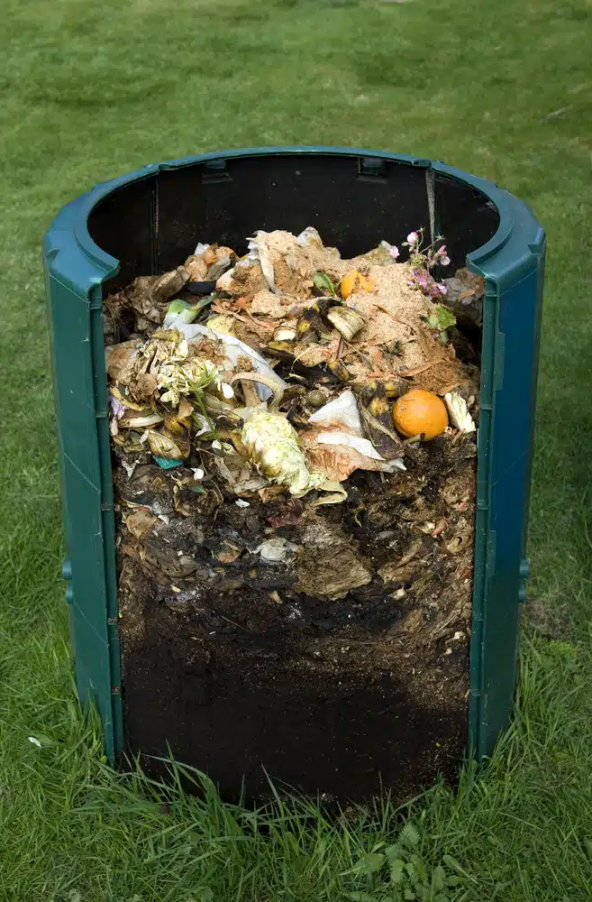 Compost Bin Cross-Section