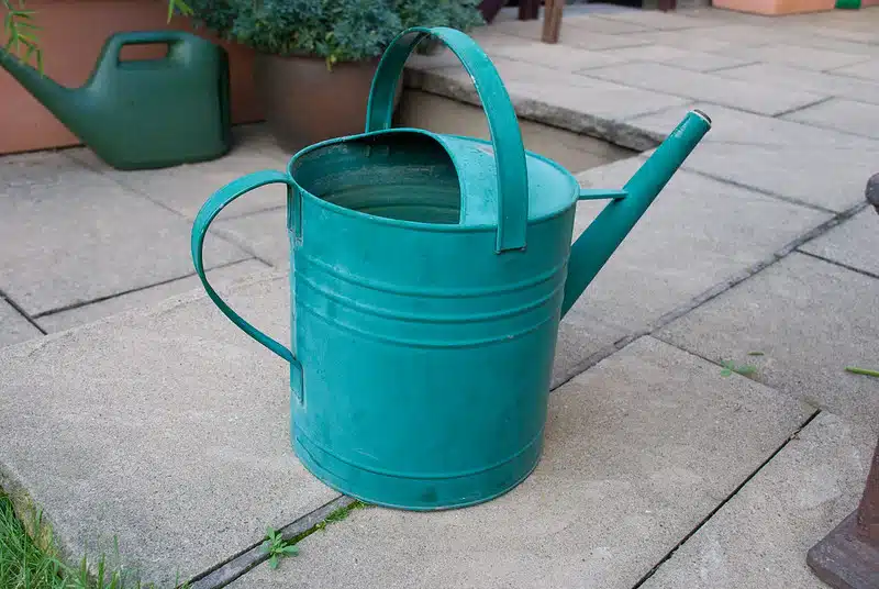 Vintage Watering Can