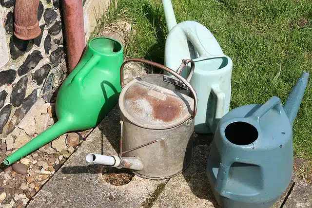 Plastic Watering Cans!