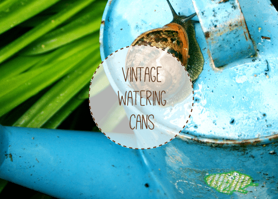A blue vintage watering can with a snail on the lid.