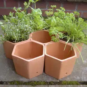 Hexagonal Pots