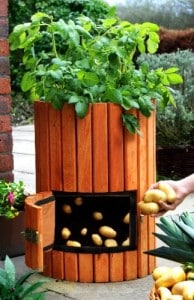 Potato Barrel
