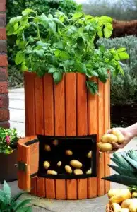 Potato Barrel