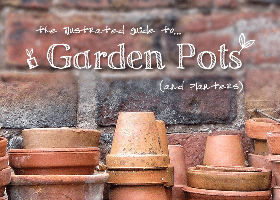 The Illustrated Guide to Garden Pots and Planters
