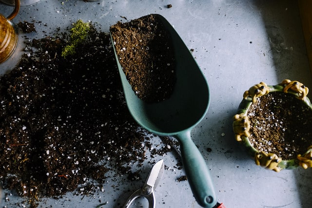 Potting Mix With Perlite Potting mix with trowel.