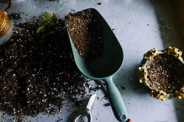 Potting mix with trowel.