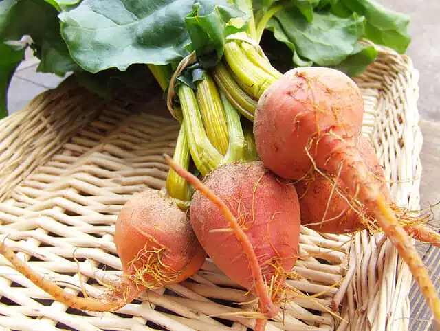 A bundle of small vegetables in a wicker basket.