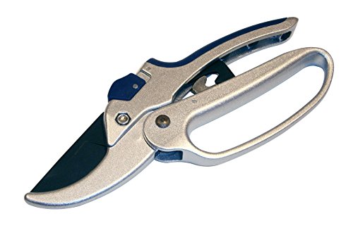 Silver secateurs with closed-grip handle.