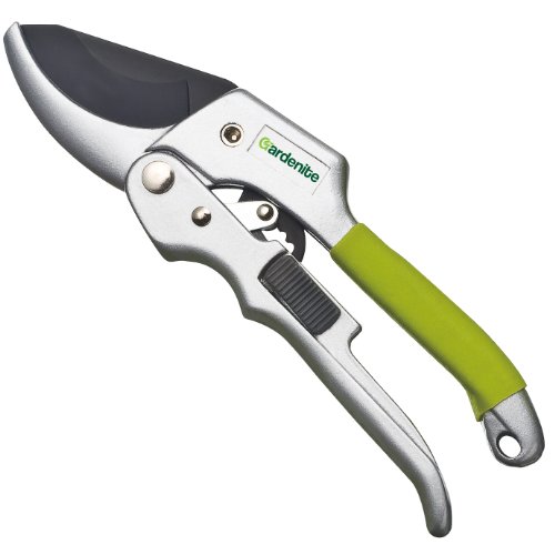 Green and silver rachet secateurs.