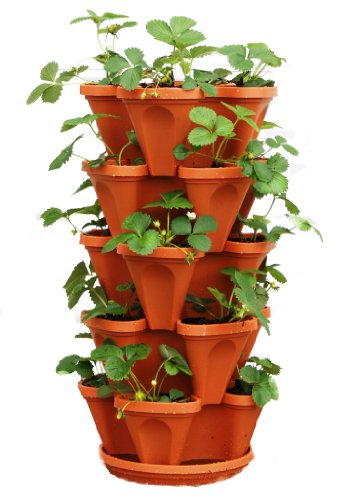 Mr. Stacky stackable pots.
