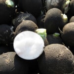 Black radishes Black radishes