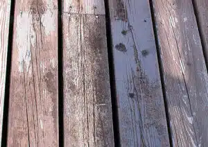 Stain on decking. 