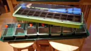 Plastic Propagator