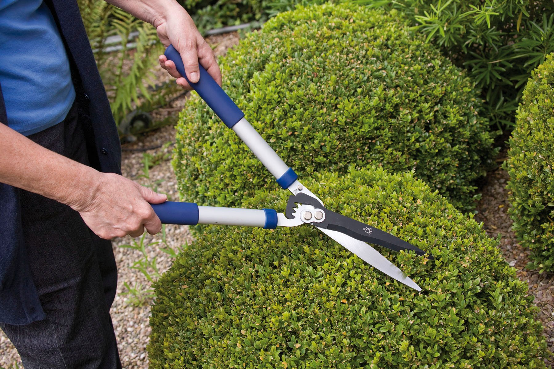 Best Hedge Shears Our Top Picks Urban Turnip