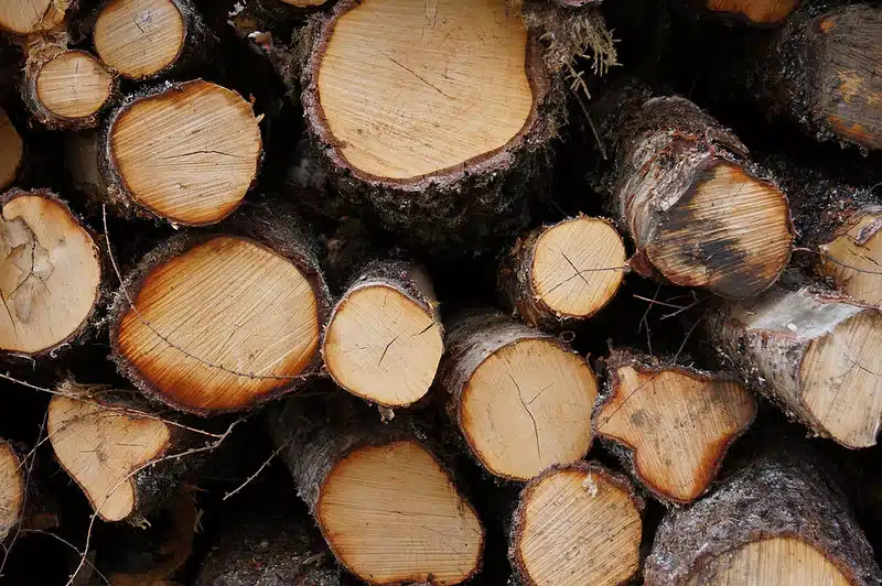 Stacked logs