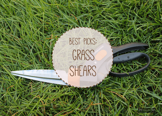 best manual grass shears