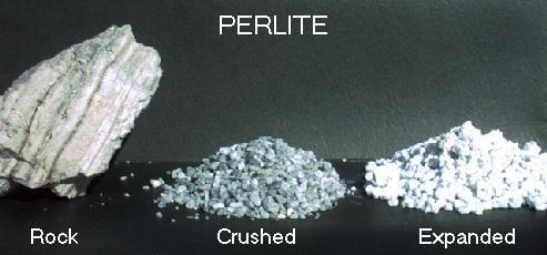 Vermiculite or Perlite? The Definitive Answer - Urban Turnip