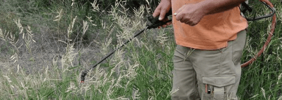 Best Garden Sprayer