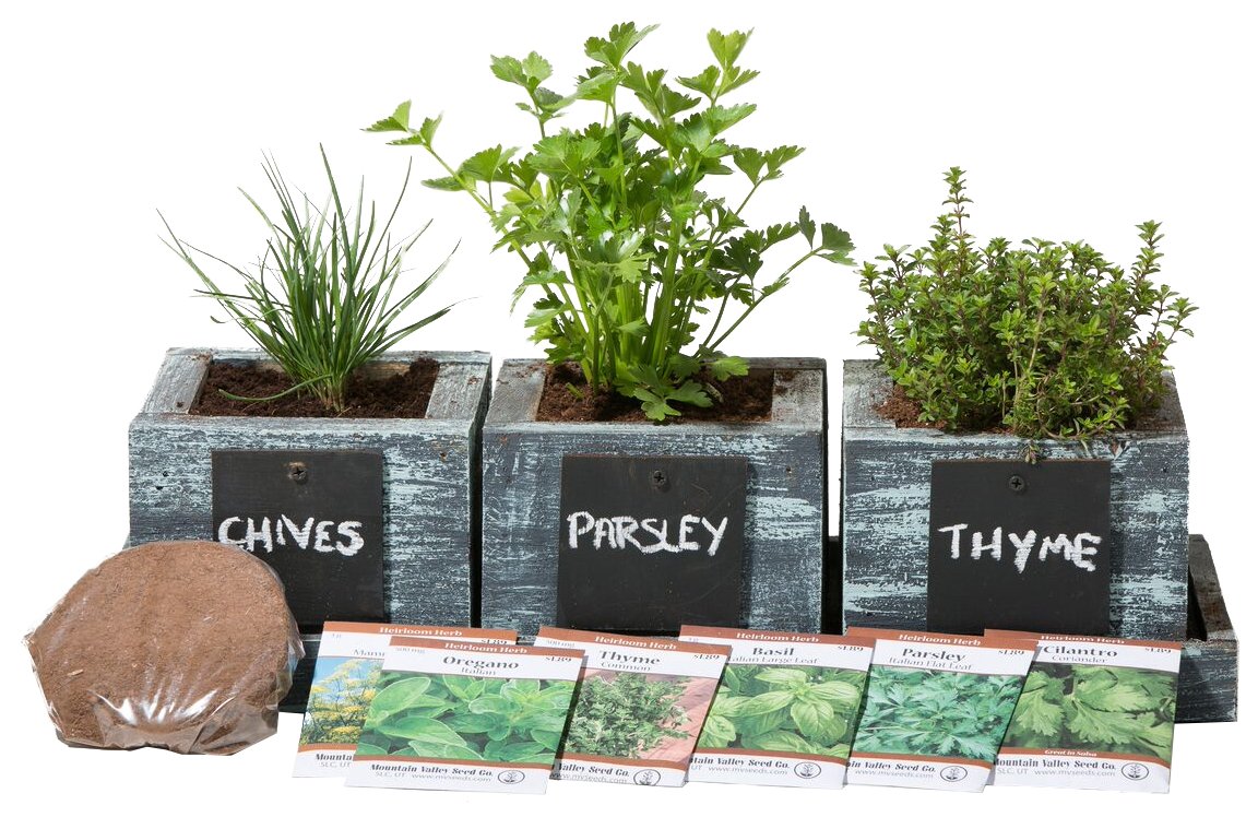 Best indoor herb garden kits: reviews & top picks - Urban Turnip