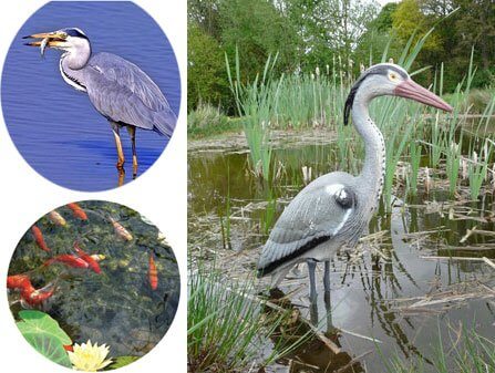 Heron Scarer Heron Scarer