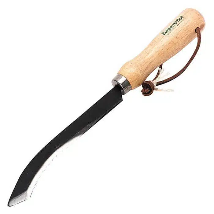 Burgon and Ball asparagus knife