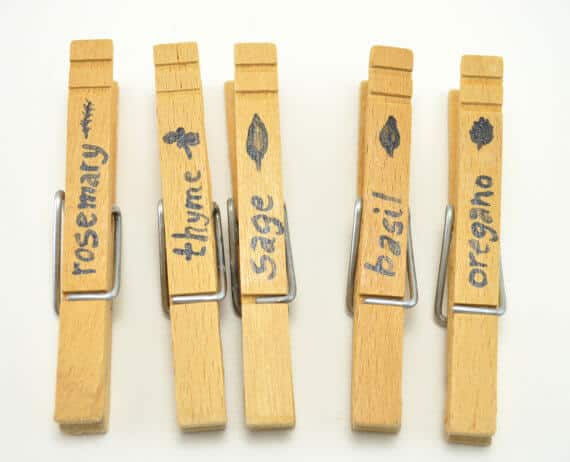 Plant pegs Plant pegs
