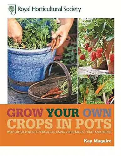 Grow Your Own Crops in Pots