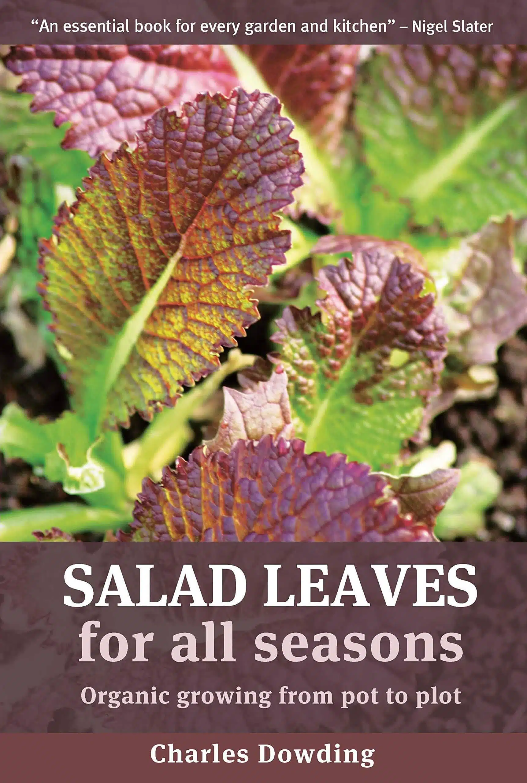 Salad leaves for all Seasons