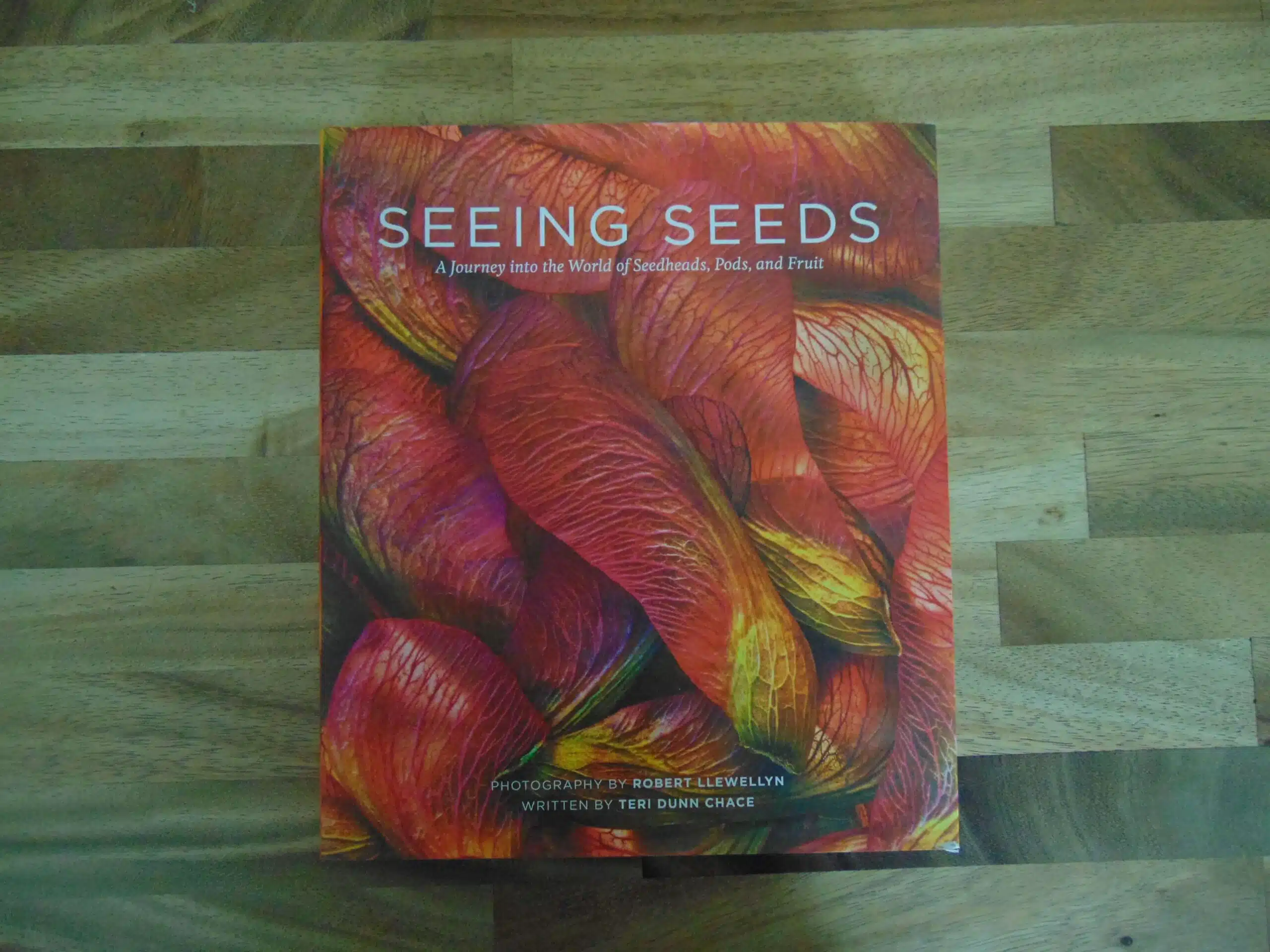 Seeing Seeds