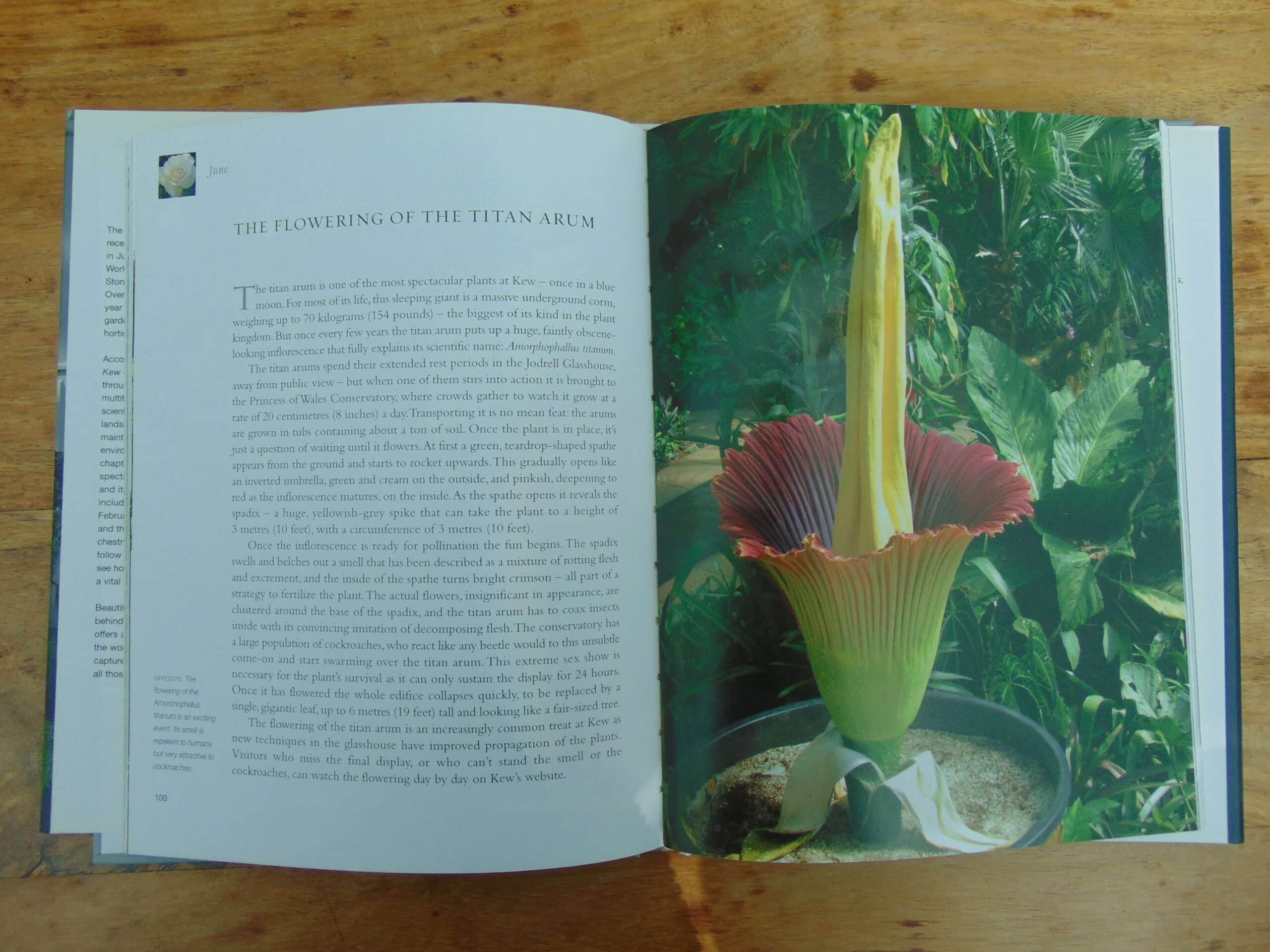 A Year At Kew A Year At Kew