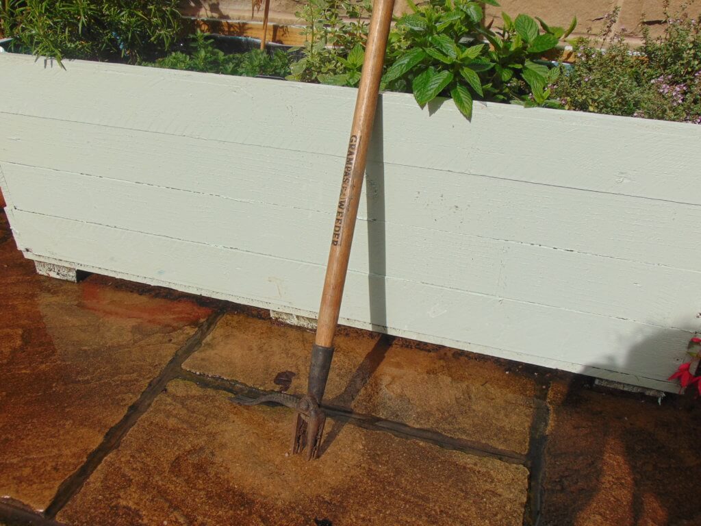 Review Grampa's Weeder Urban Turnip