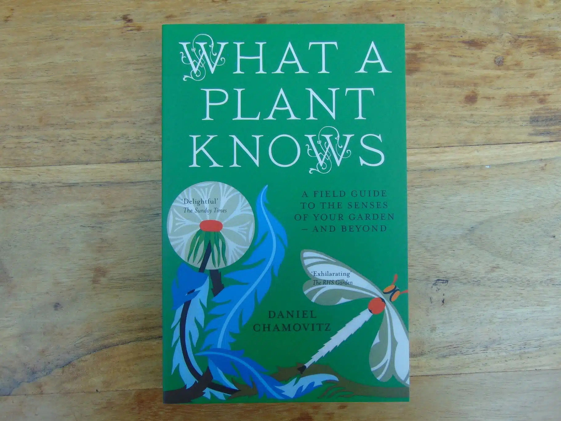 What A Plant Knows