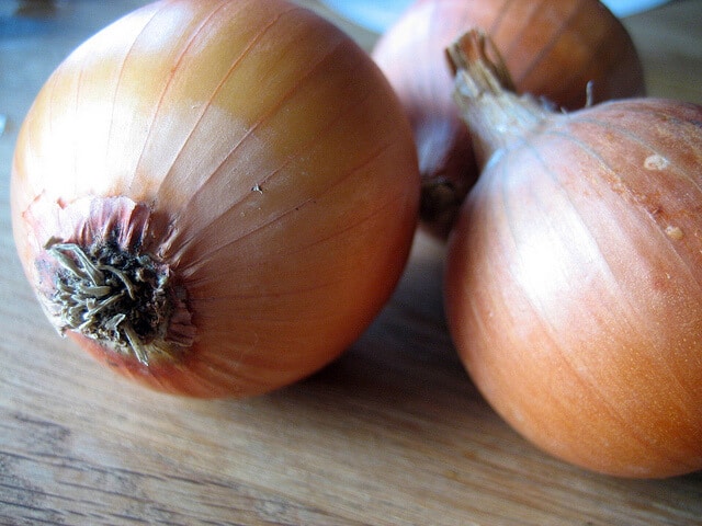 Container onions