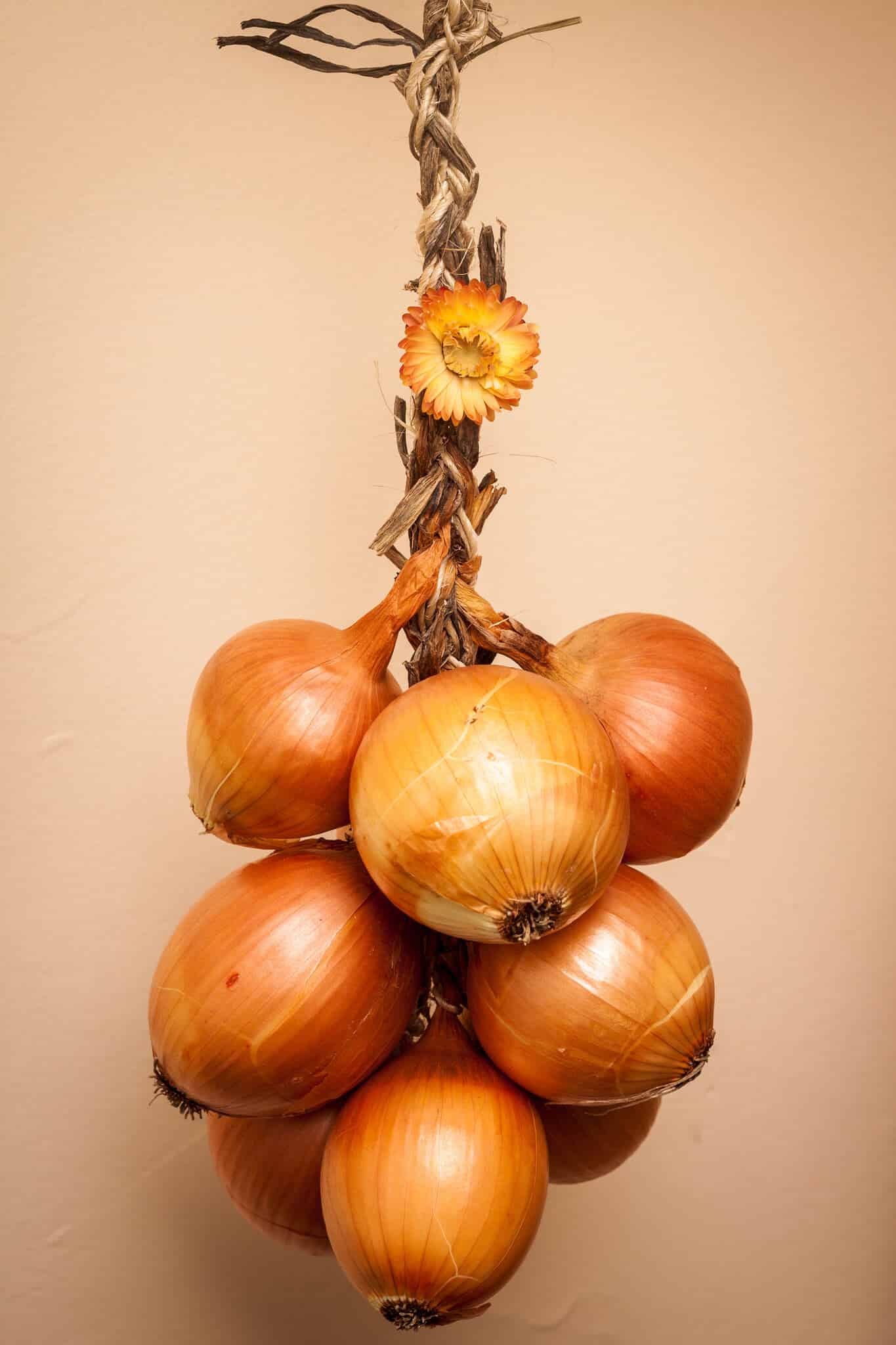 Hanging onions