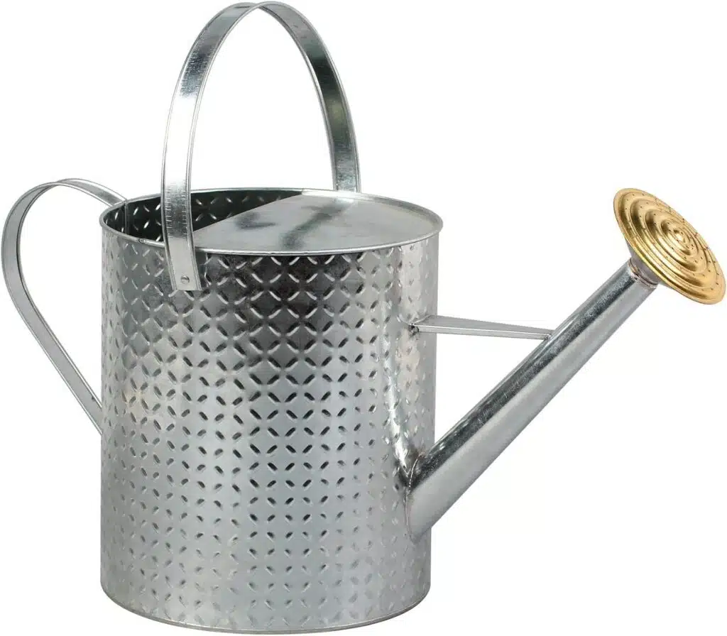 Patterned Watering Can