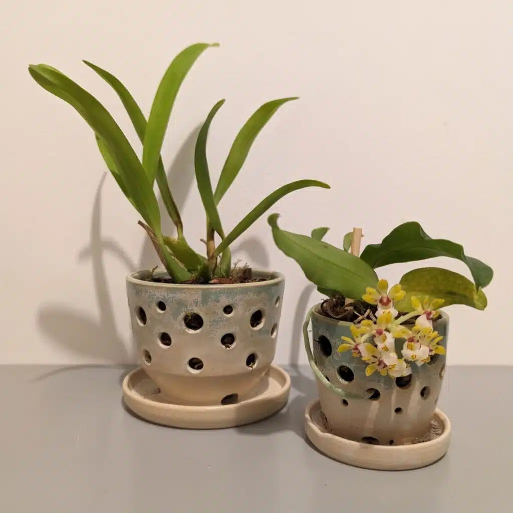 Beige & Green Medium Orchid Pot (Beth Larcombe on Etsy)