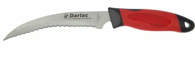 Darlac Asparagus Knife